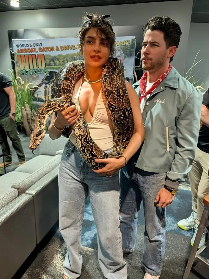 Priyanka Chopra Jonas