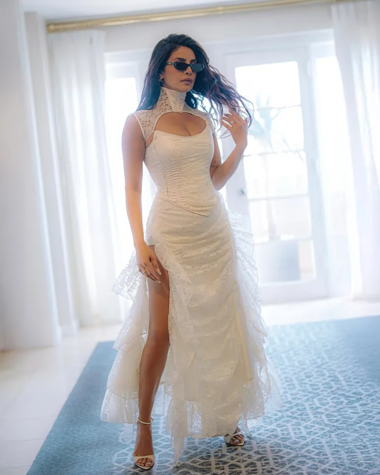 Priyanka Chopra Jonas