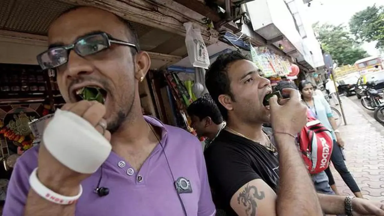 Paan Tobacco Intoxicants