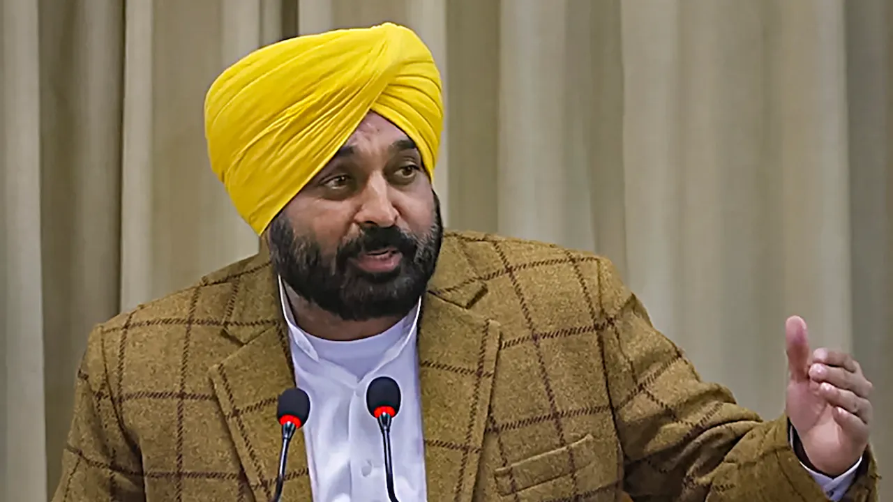 Punjab Chief Minister Bhagwant Mann (File image)