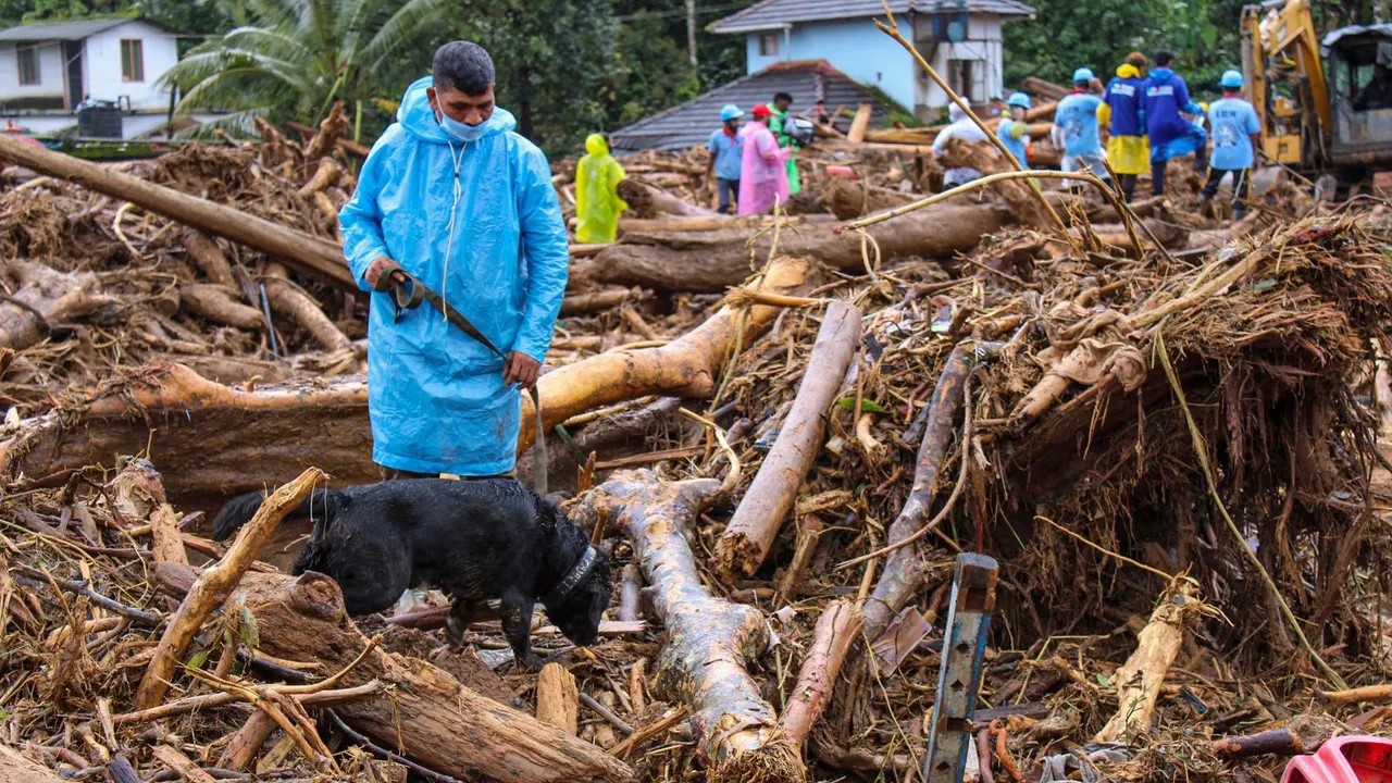 A military special dog during a search operation to trace bodies from the landslide-hit area, at Chooralmala in Wayanad