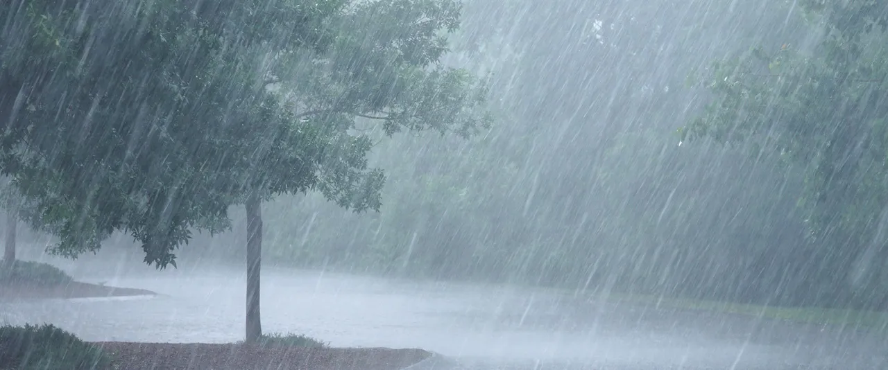 Heavy rainfall.jpg