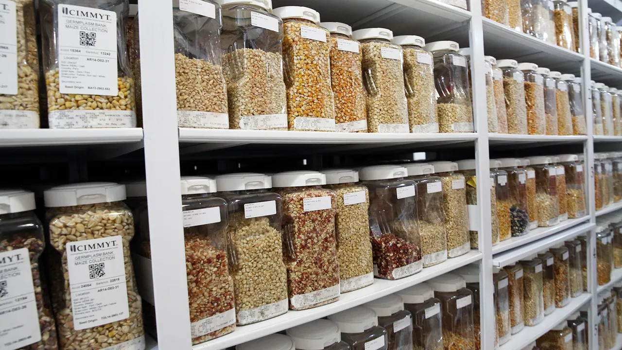 seeds bank.jpg