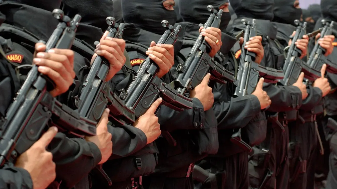 NSG commandos
