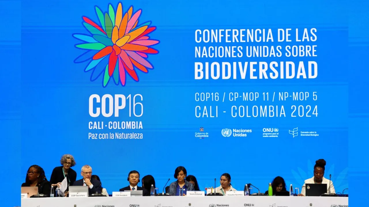 COP16