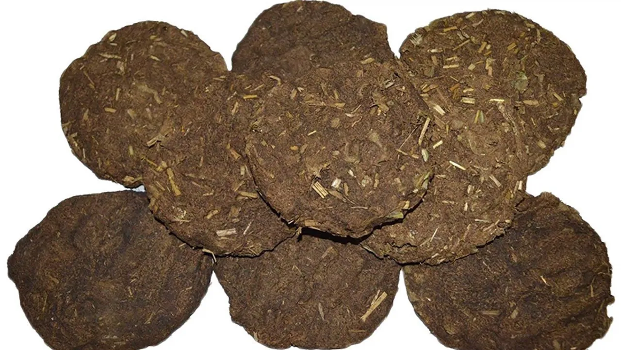 cow dung cake