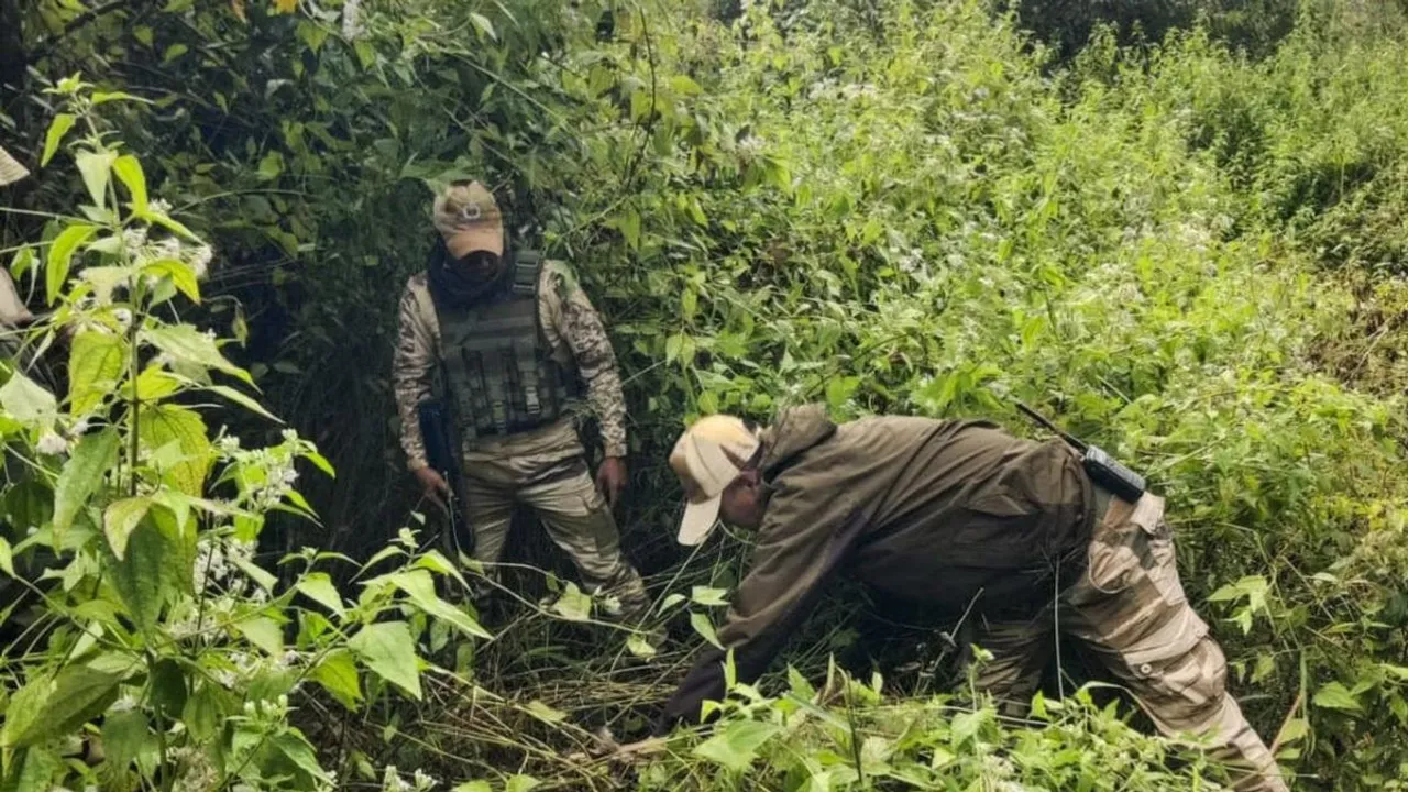 Security personnel during a search operation and area domination in the vulnerable areas of hill and valley districts of Manipur