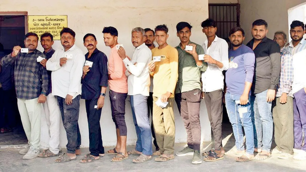 Vav Assembly Bypolls Gujarat Elections Gujarat Voting