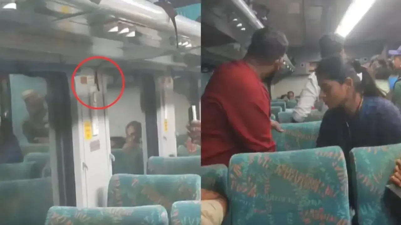 Snake spotted in Jan Shatabdi Express