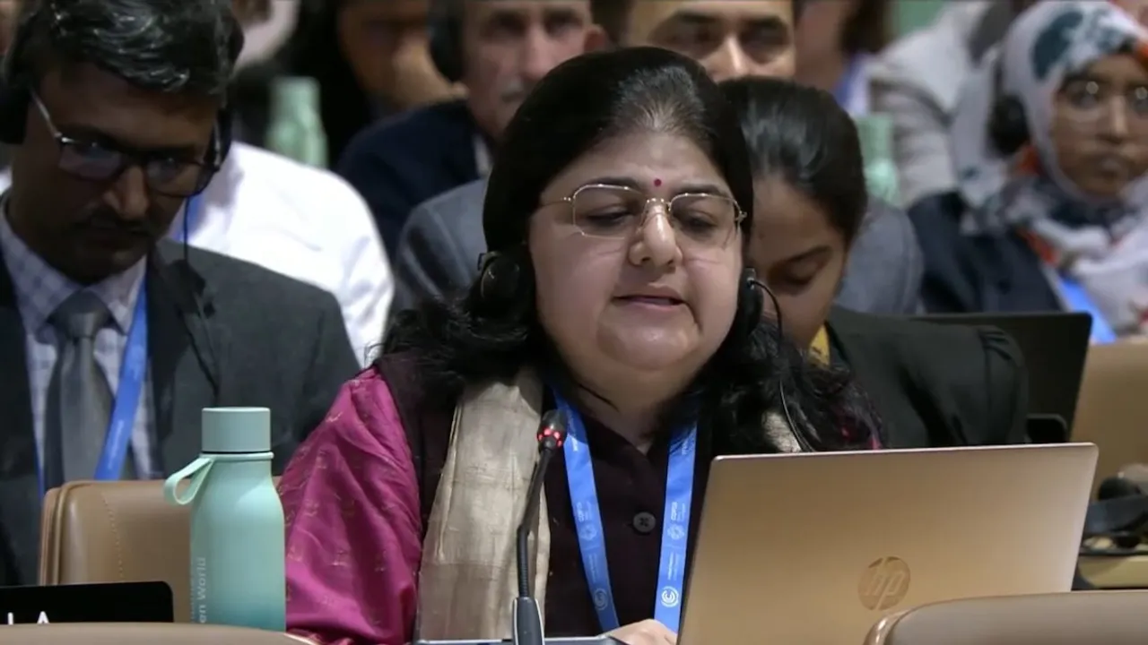 COP29 India