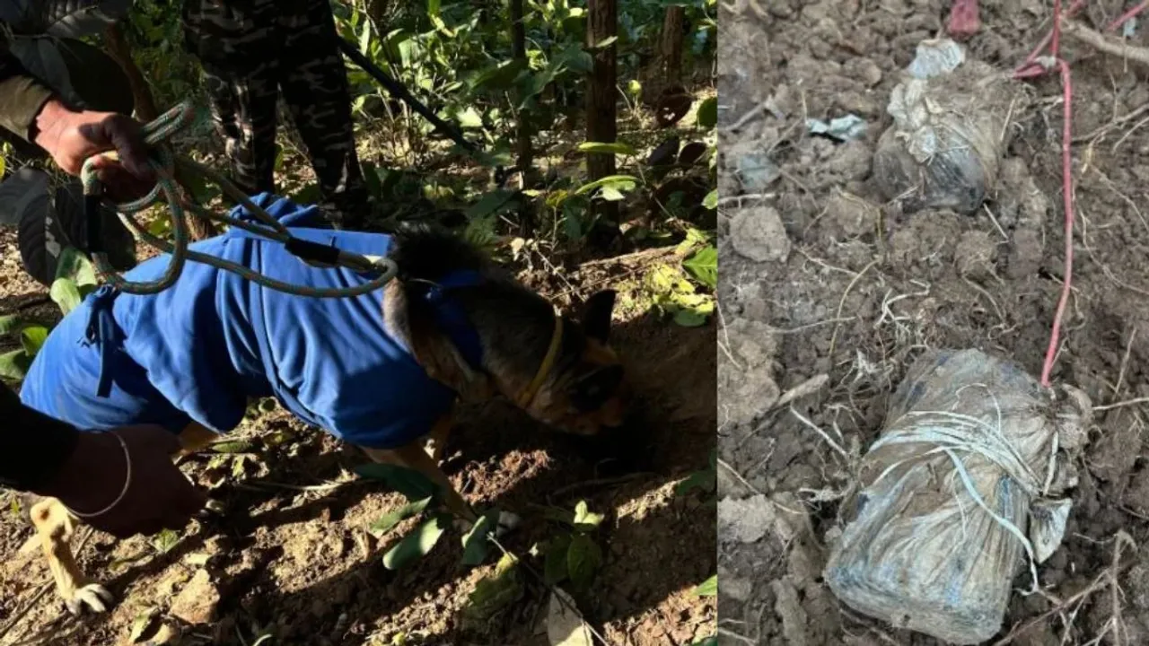 Five cane bombs recovered in Jharkhand