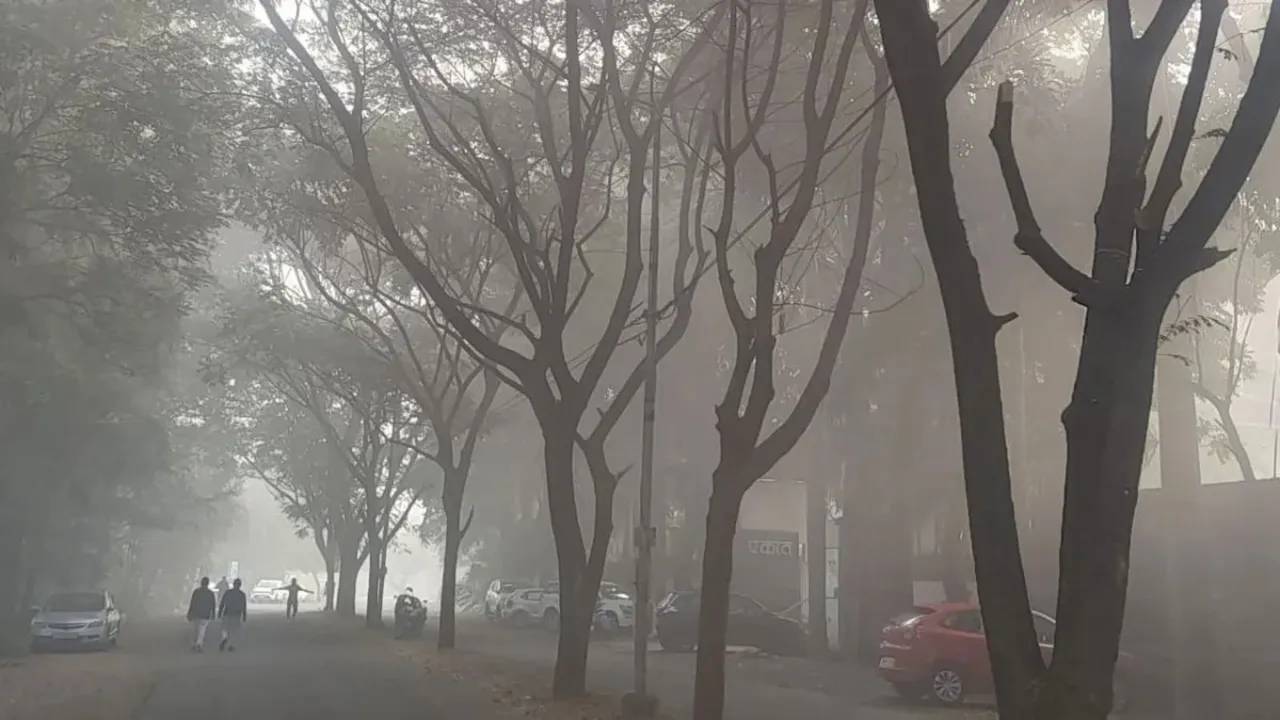 Nashik Winter Nashik Weather