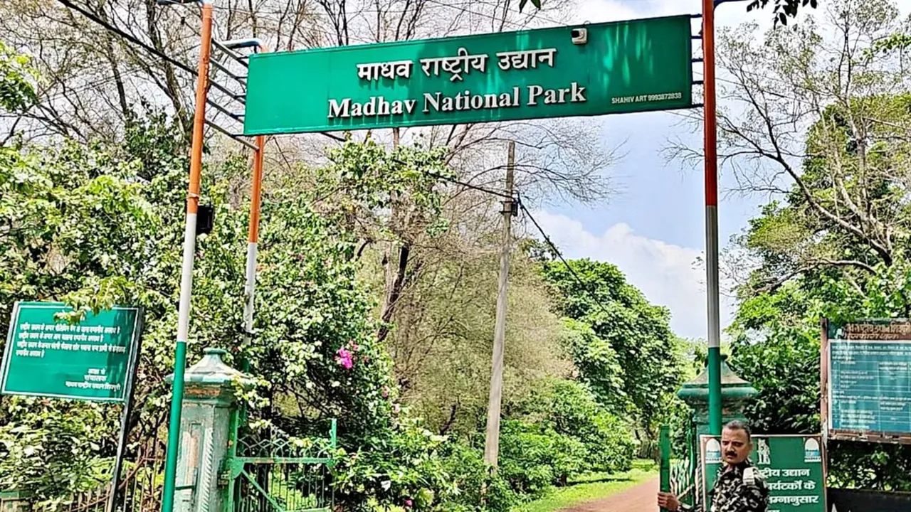 Madhav National Park