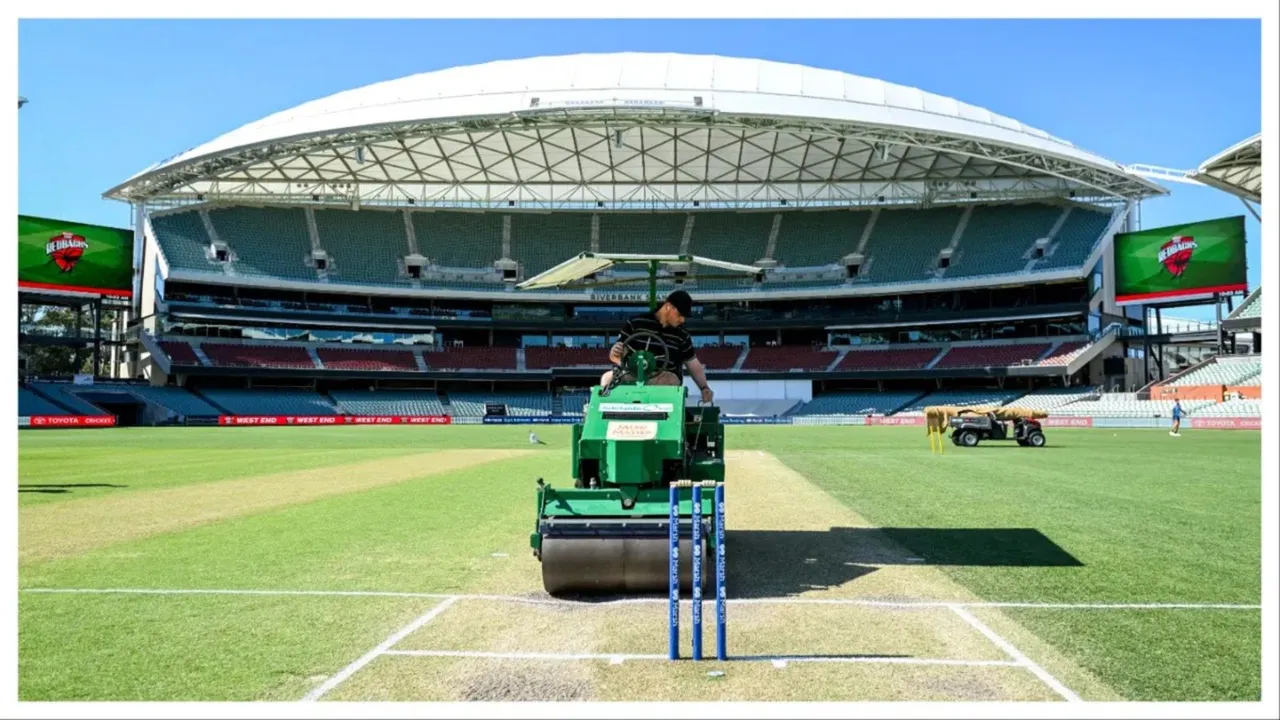 Adelaide pitch