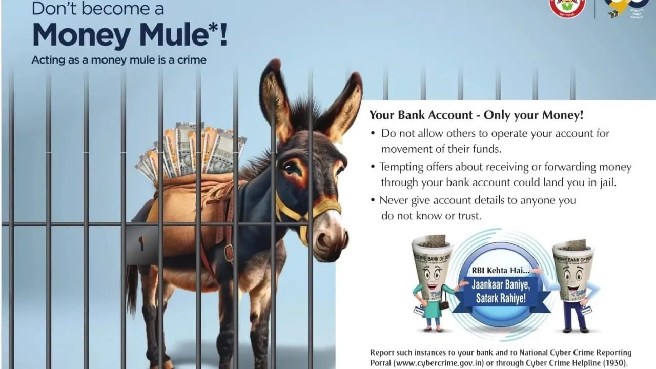 RBI Money Mule ad