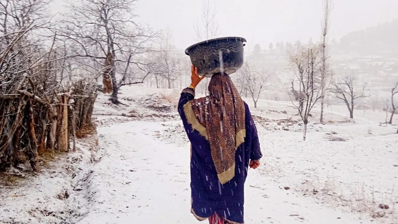 Snowfall at Tangmarg of Baramulla district of north Kashmir, Sunday, Dec. 8, 2024.