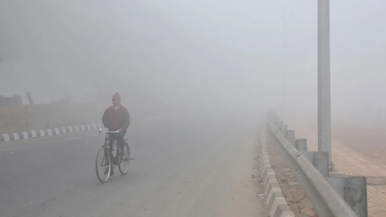 Rajasthan Winters Sikar Fatehpur Fog image