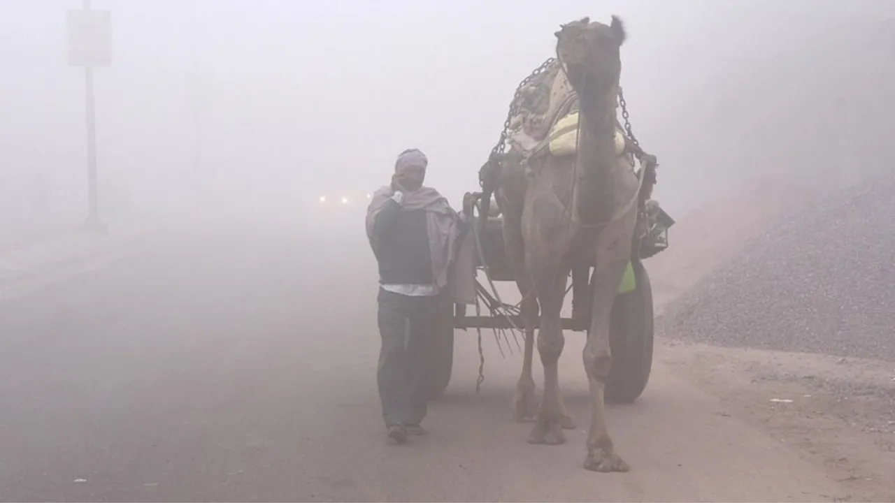 Rajasthan weather