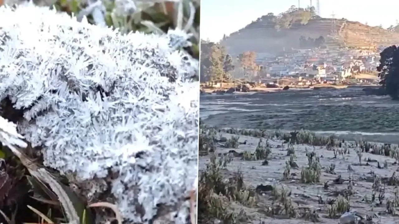 Udhagamandalam Ooty Frost