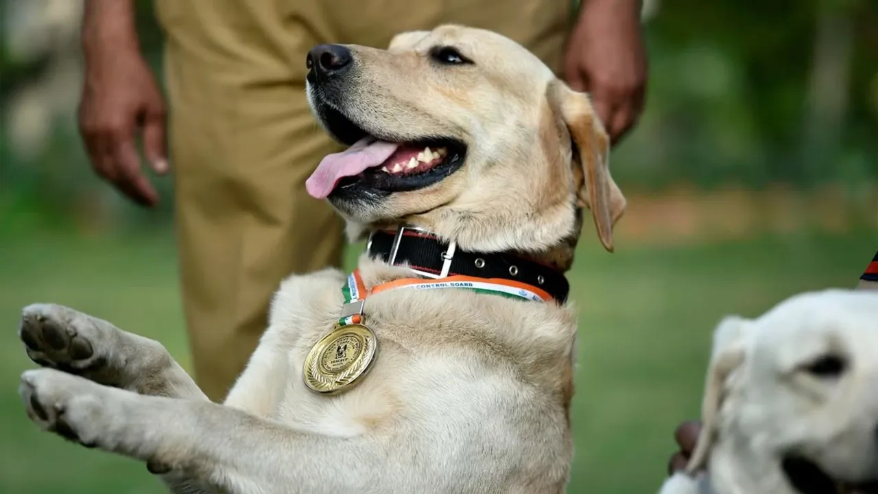 CRPF dogs