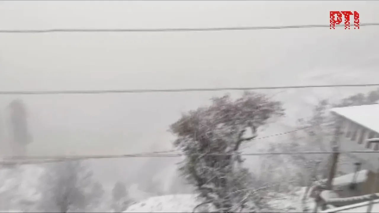 shimla snowfall