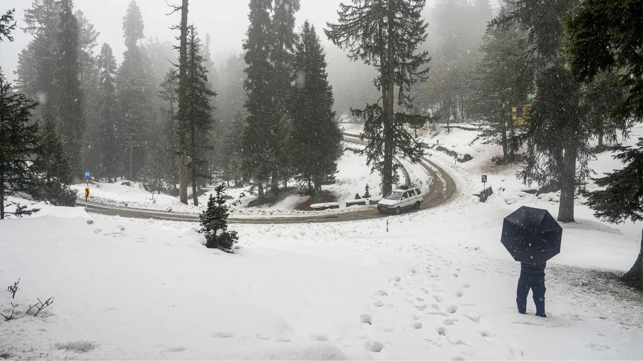 Snow fall image