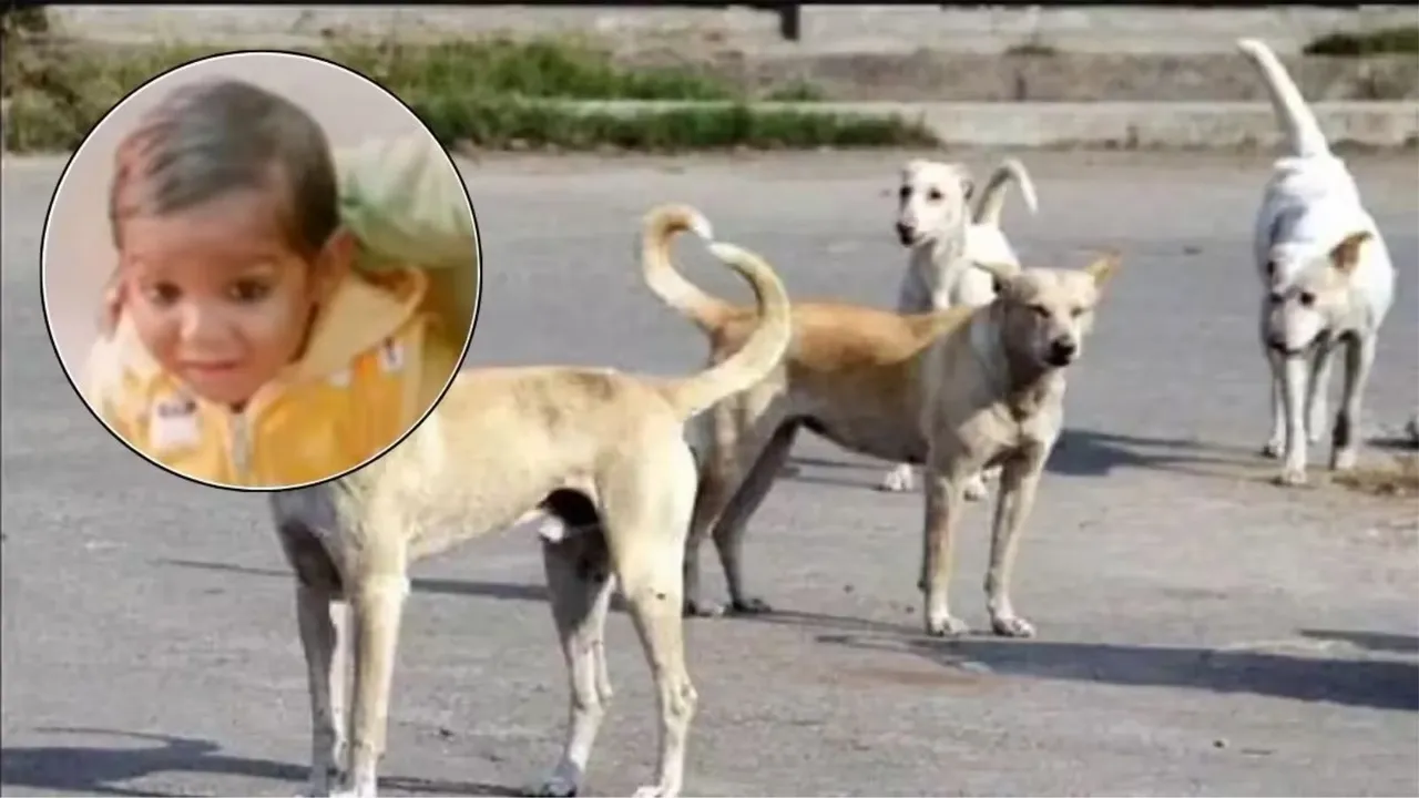 Dog bite mathura
