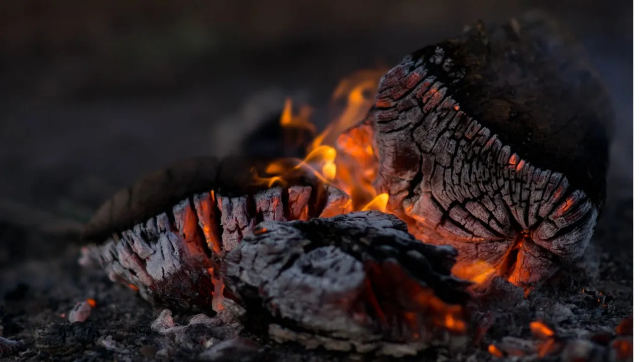 Wood Burning image