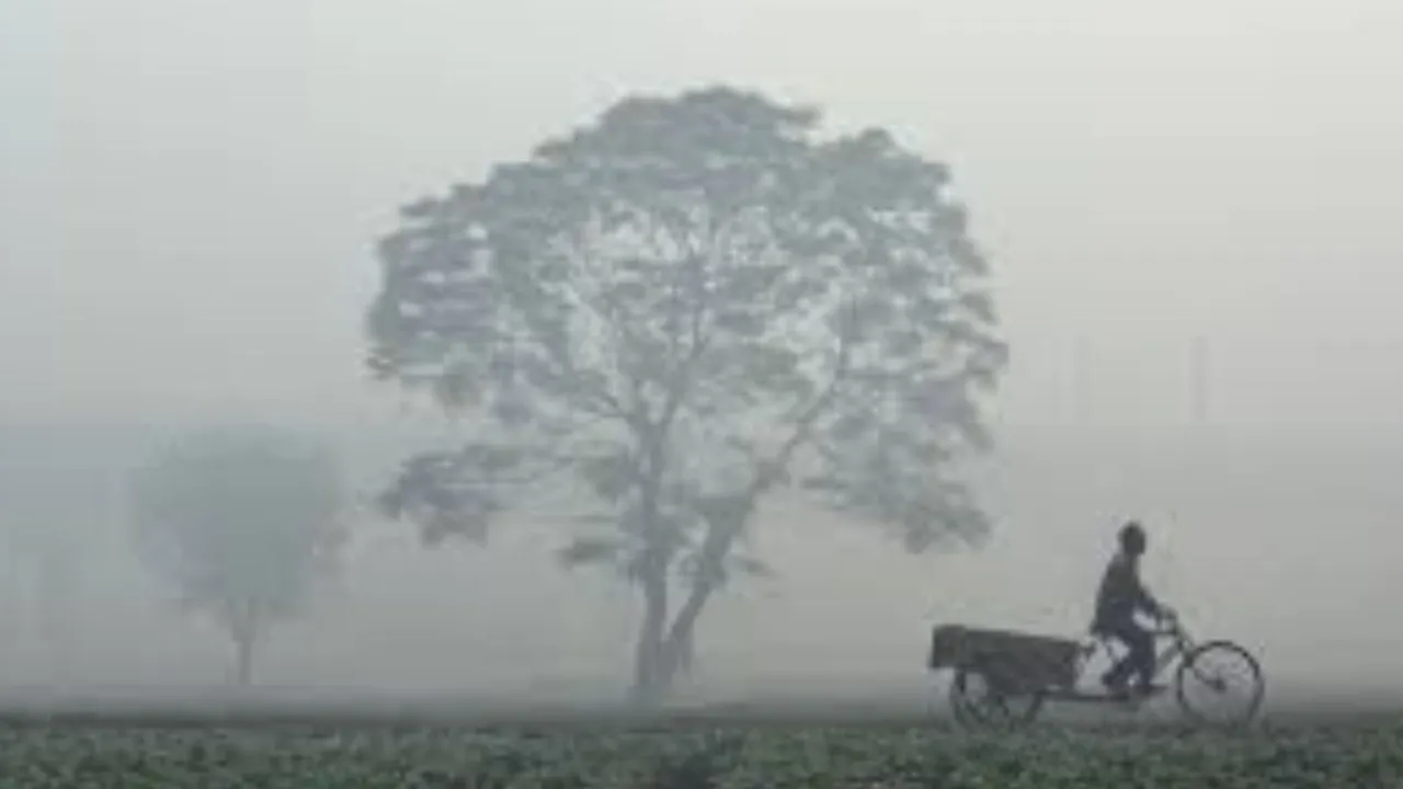 Climate Change image