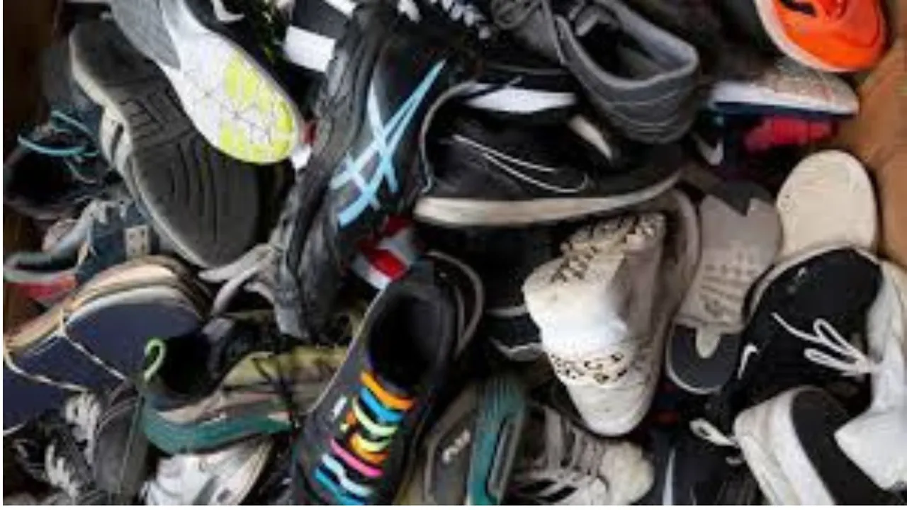Footwear image