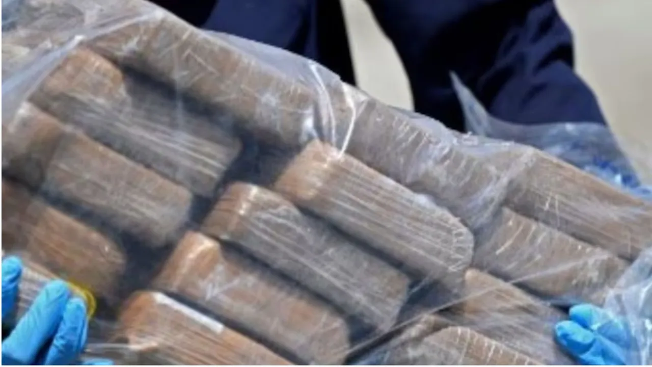Drugs in Mumbai image