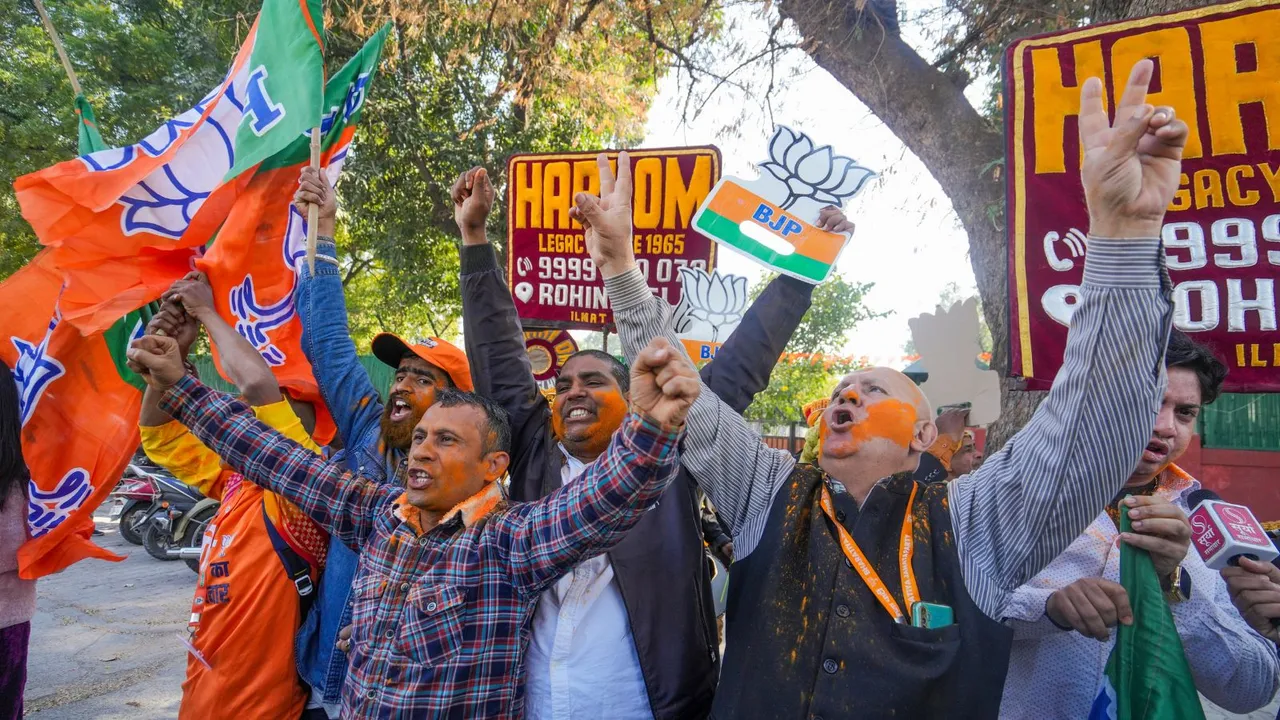 Delhi BJP Celebrations BJP Supporters
