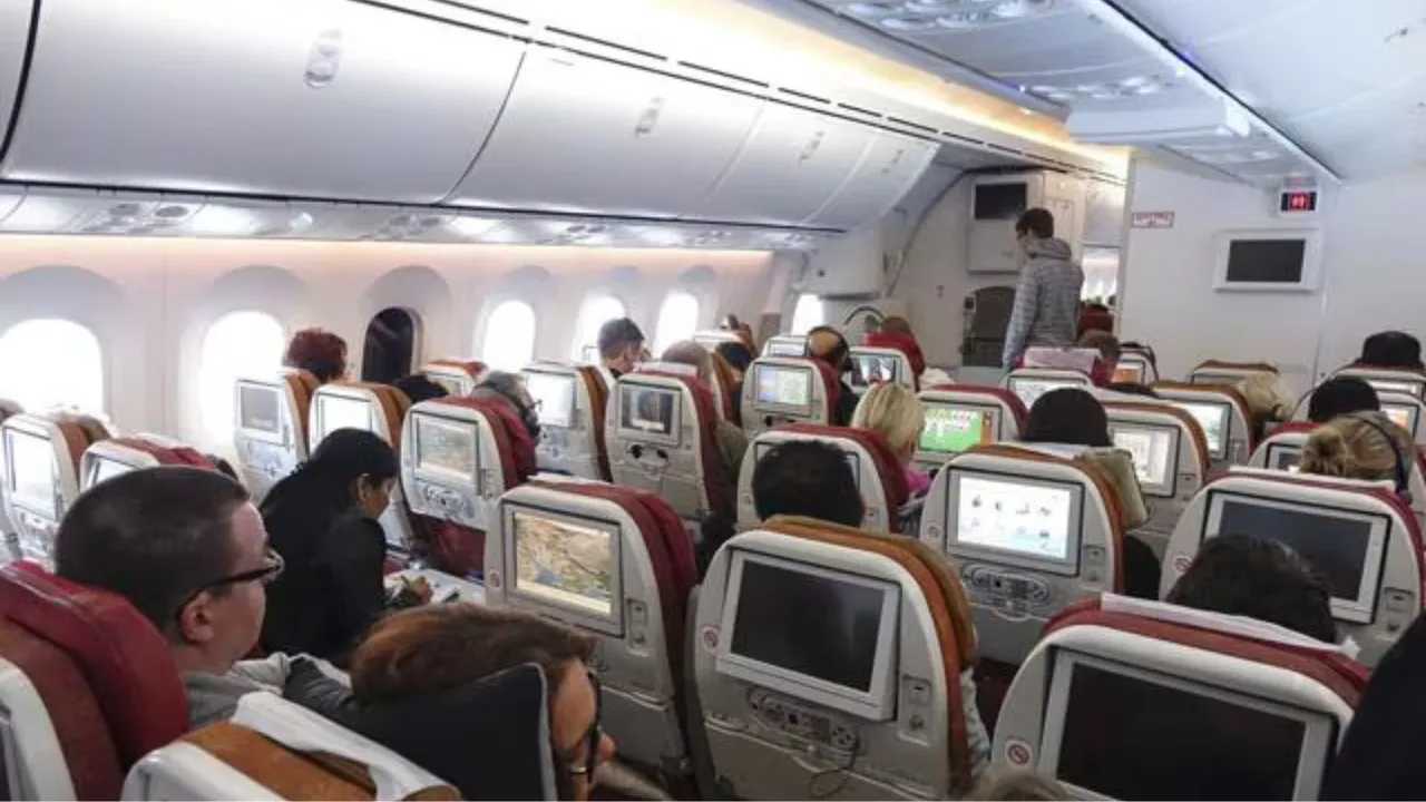 Air passenger image