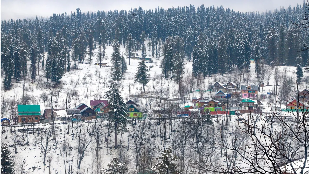 Snowfall snow in Jammu and Kashmir image