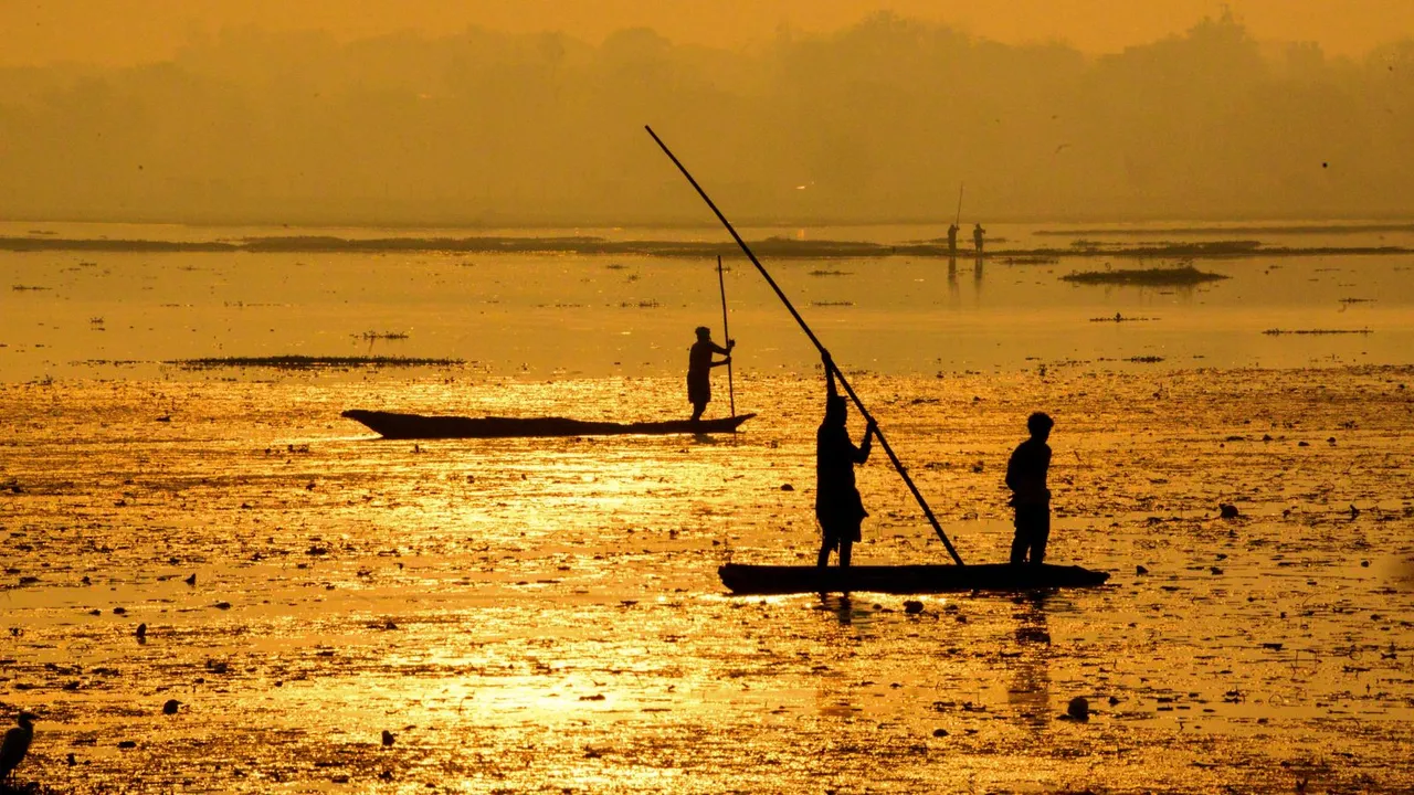 Indian Fishermen Coastal Area Bastar Inland Fishing image
