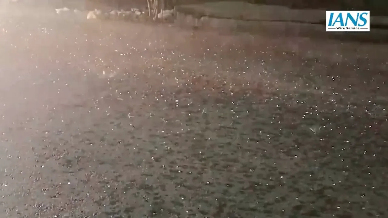 Dholpur in Rajasthan experiences rainfall and a hailstorm on Saturday, March 1, 2025.