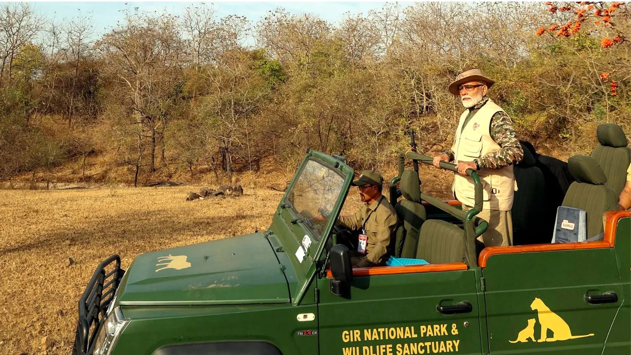 Narendra Modi in Gir National Park image