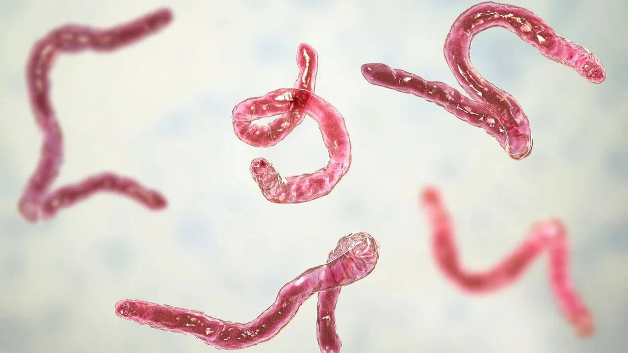 Parasitic Worms Gut Health Threadworms