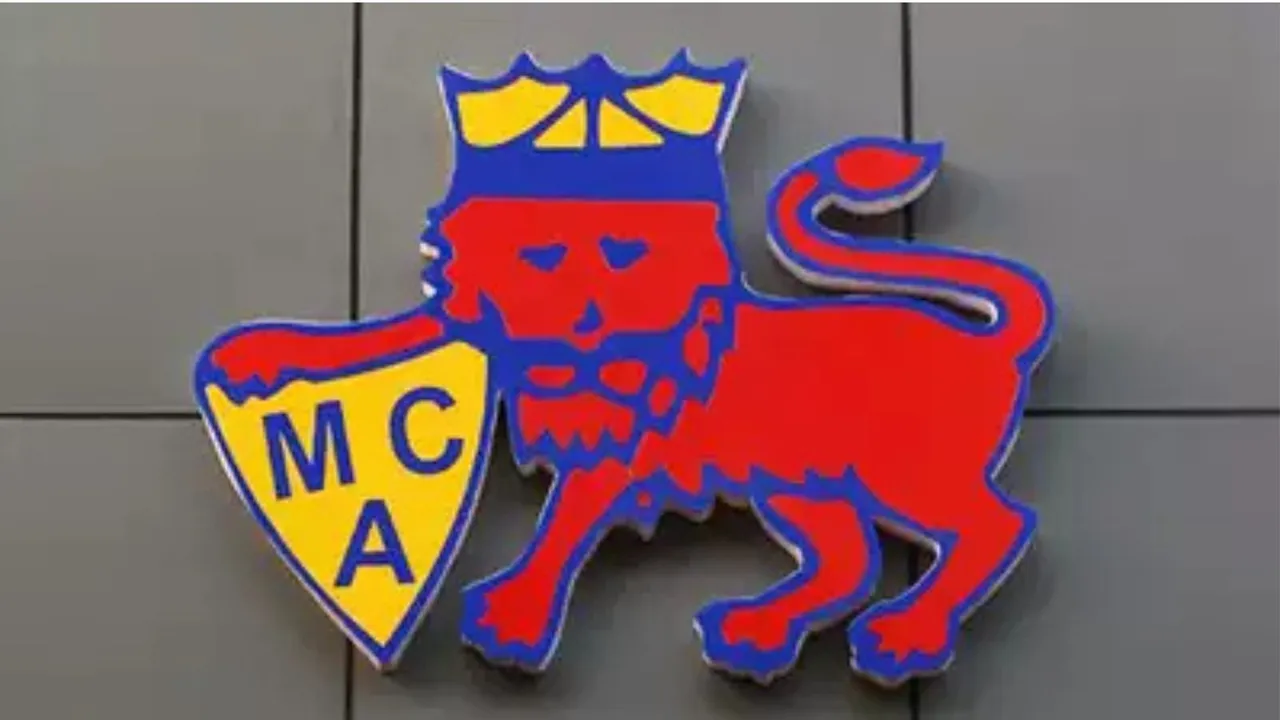 MCA image(1)