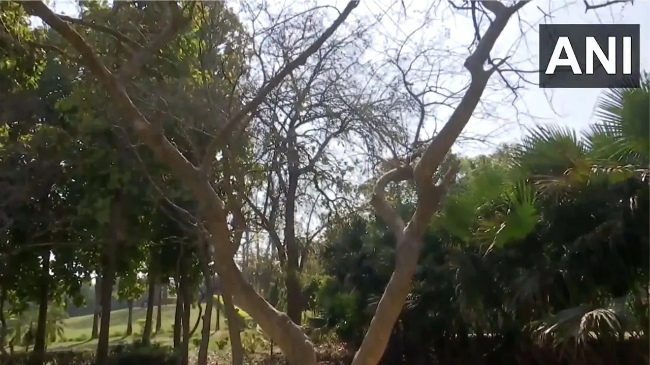 Delhi's deer park
