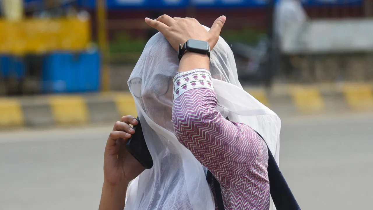 Heat Waves Bihar Weather Hot Weather Delhi Weather Summer Andhra Pradesh Heatwaves