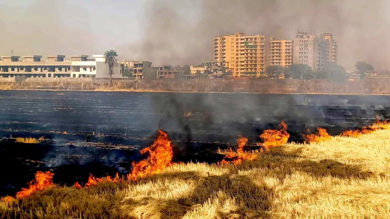 Stubble burning in Bhopal