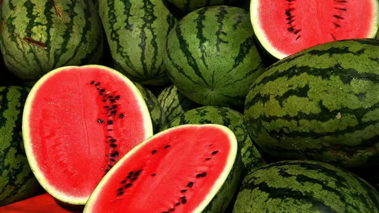 Watermelons Water melons