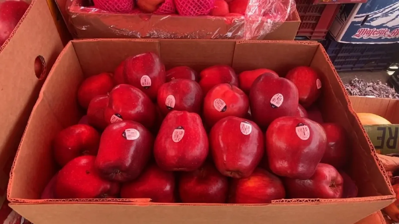 Turkey Apple Ban
