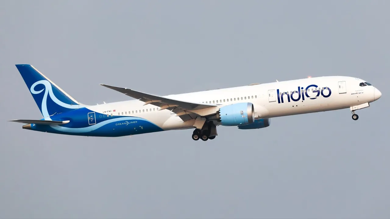 Indigo Airlines Indigo Flight