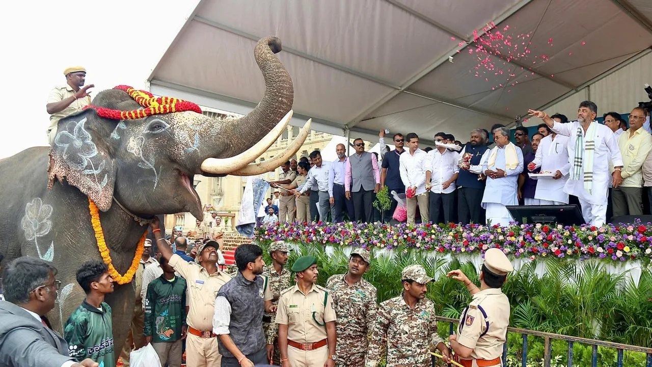 Kumki elephants