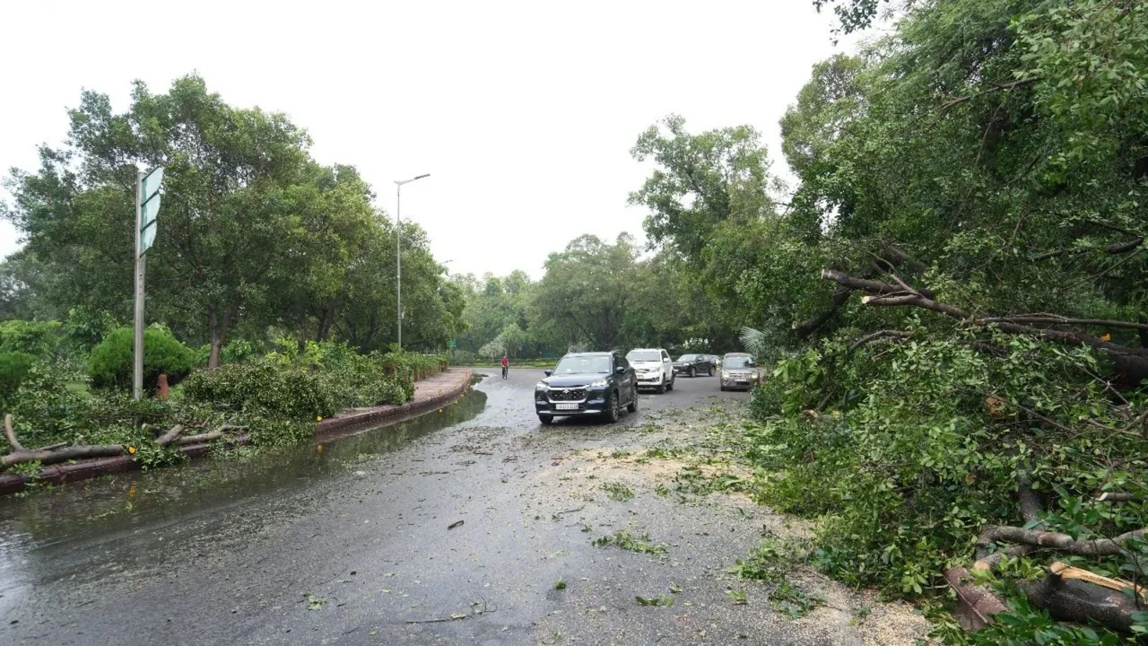 Rain in Delhi