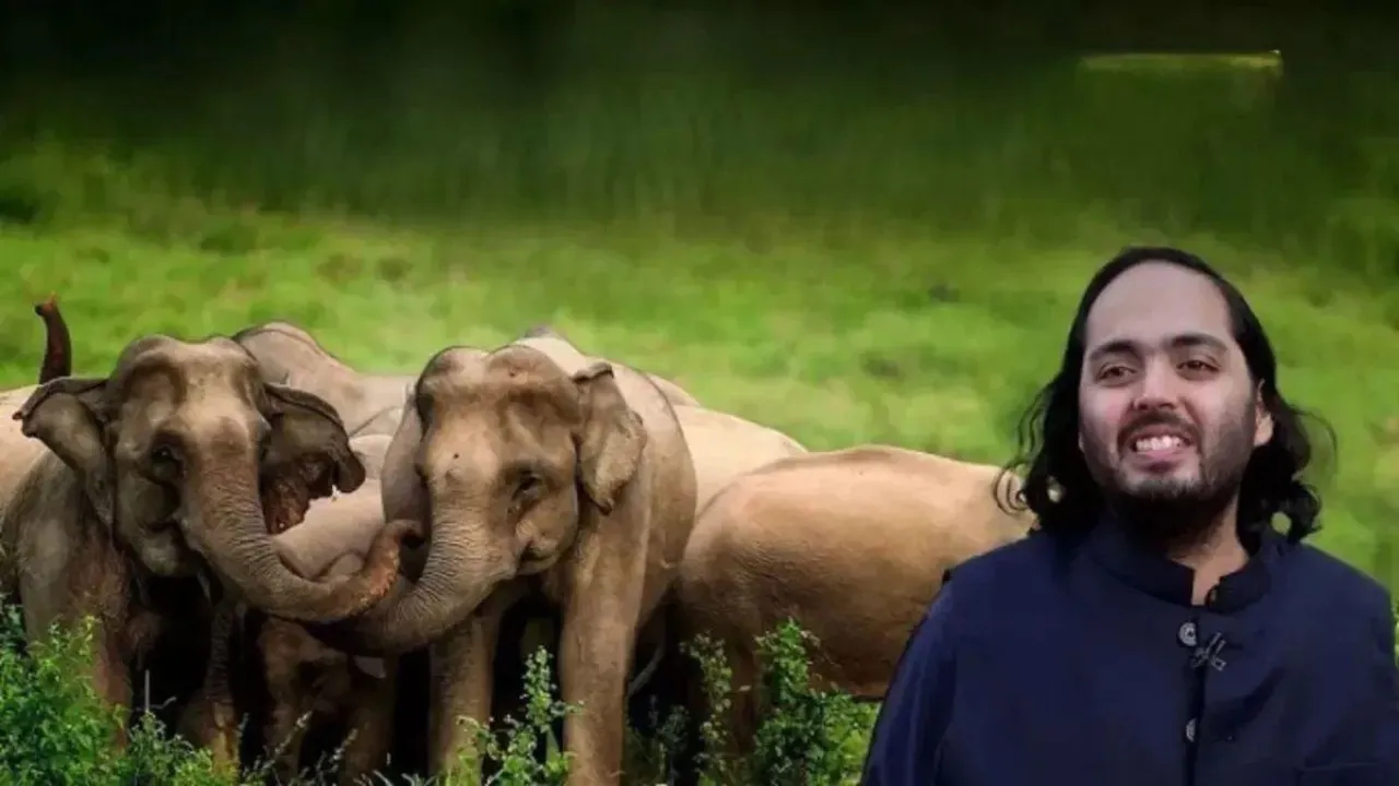 Delhi Zoo Vantara Zoo Anant Ambani