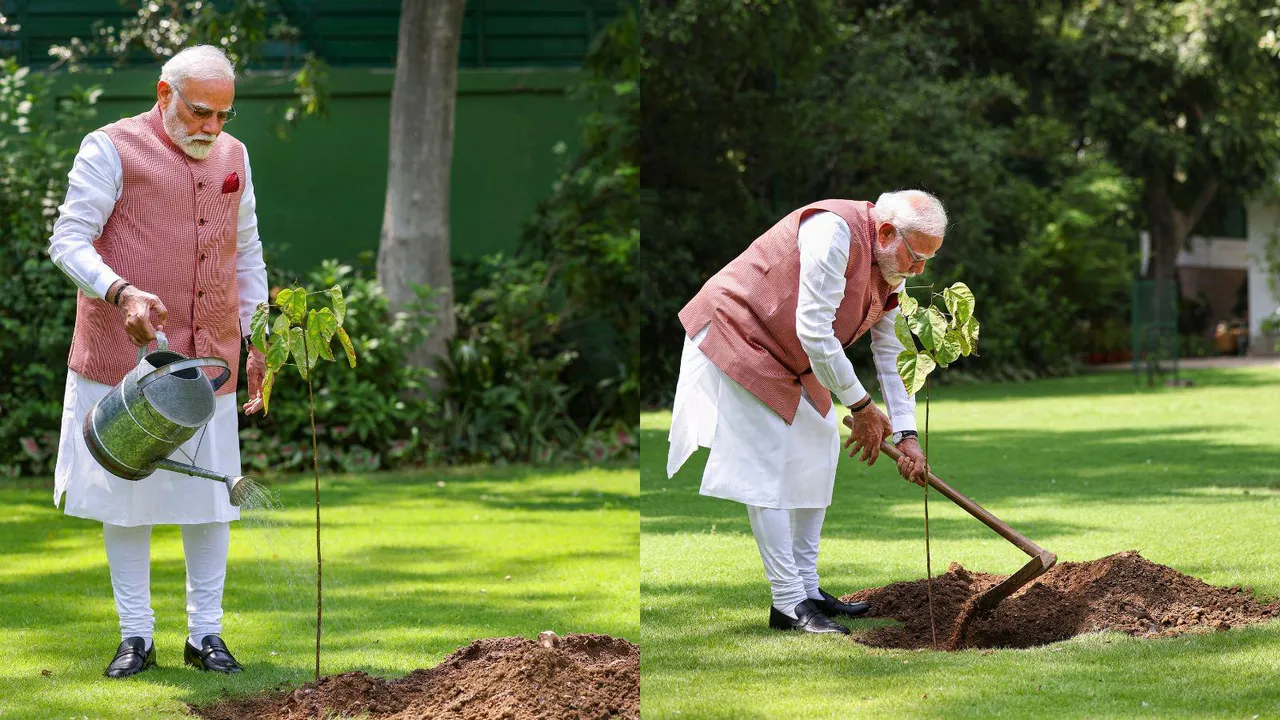 Narendra Modi Planting Sapling