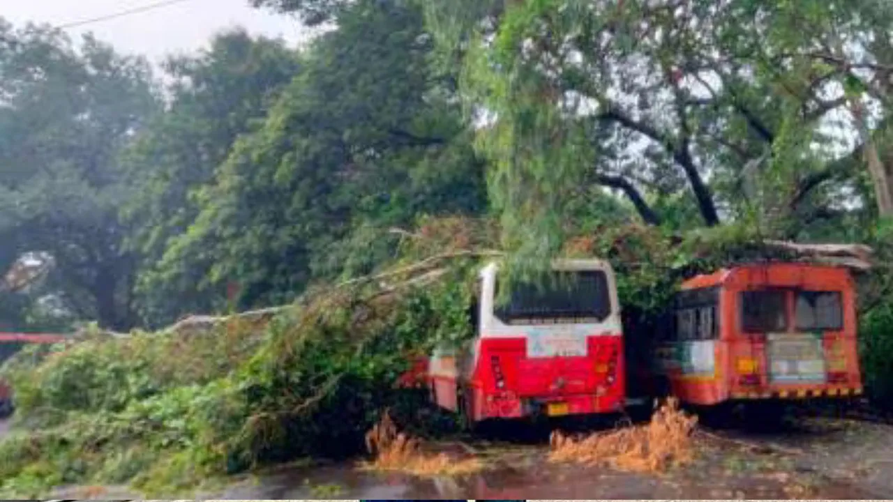 Rain in Palghar